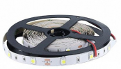General lamp 5020 Светодиодная лента GLS-5050-30-7.2-12-IP20-6
