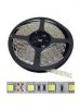 General lamp 5032 Светодиодная лента GLS-5050-60-14.4-12-IP20-4